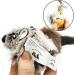 Vealind Interactive Cat Toy 2 Pack - Electronic Bird & Mouse with Sound | Ideal for Cats | Best Quality Pet Toys - Buy Online on GoSupps.com