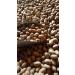 Georgia Pecans 5 lb - Fresh In-Shell Pecan Nuts from Georgia | Buy Online - Buy Online on GoSupps.com
