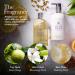 Buy Molton Brown Bergamot Body Lotion - Premium Hydrating Formula | International Shipping Available - Buy Online on GoSupps.com