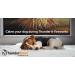 Thundershirt Dog Anxiety Jacket - Platinum | Size S | Effective Relief for Dog Anxiety | International Shipping Available - Buy Online on GoSupps.com