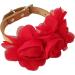 JpGdn Dog Collar Large Flowers 4.9inch Pet Collar Charms Attachment for Small Medium Big Girl Female Cat Puppy Alpaca Rabbit Neck Bows Slides Grooming Accessories 6pcs collar - Buy Online on GoSupps.com