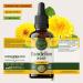 HERBAMAMA Dandelion Root Tincture - Vegan Dandelion Root Extract for Liver Detox and Cleanse - Non-GMO Alcohol & Sugar-Free Liquid Liver Support Supplement 28-Day Supply 2 Fl Oz (Pack of 1) - Buy Online on GoSupps.com