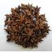 AgoraMarket Whole Star Anise 40g 195Kg Premium Quality Illicium Verum 220 grams - Buy Online on GoSupps.com