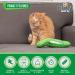 Pet Craft Supply Interactive Electric Flipping Fish Cat Toy with Catnip - Wiggle Pickle - Buy Online on GoSupps.com