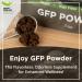 Good Feeling Products GFP Powder - Mushroom Supplement - Tinder Conk Powder Supplement - Immune Support Supplement for Men & Women - Buy Online on GoSupps.com