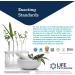 Life Extension Triple Action Cruciferous Extract with Resveratrol - 60 Veggie Capsules - Buy Online on GoSupps.com