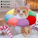 Apricitie 2 Skinkrause Cat Collar - Adjustable Anti-Bite Cone for Cats & Small Dogs | Post-Surgery Injury Relief - Buy Online on GoSupps.com