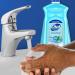 Dial Antibacterial Liquid Hand Soap Refill, Spring Water, 52 fl oz, 3 Pack - Buy Online on GoSupps.com
