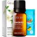 Jasmine Essential Oil for Diffuser (4 Fl Oz) & Gardenia Essential Oil for Skin (0.34 Fl Oz) - Aromatherapy Grade Essential Oils Set -Gya Labs - Buy Online on GoSupps.com