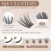 Lashview DIY Lash Extension Kit - 144 Lash Clusters Bond & Seal Applicator & Travel Curler | Perfect for Home Use - Buy Online on GoSupps.com