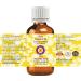 Deve Herbes Pure Hazelnut Oil - Cold Pressed 15ml (0.50 oz) | Premium Quality for Cooking & Skincare - Buy Online on GoSupps.com