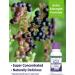 Nature's Truth Black Elderberry Extract 4250mg Syrup - Super Concentrated Sambucus Supplement - Buy Online on GoSupps.com
