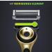 Gillette Labs Champion Gold Edition Replacement Blades 5 Pack for Gillette Labs Razor with Cleaning Element - Buy Online on GoSupps.com