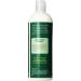 Real Aloe Lotion - Hydrating Aloe Vera Moisturizer 16 Fl Oz | Fast International Shipping - Buy Online on GoSupps.com