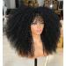 Sweece Long Curly Afro Wig with Bangs for Black Women - 18 Inch Black Kinky Curly Hair Synthetic Wig - Buy Online on GoSupps.com