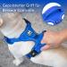 Reflective POPOT Dog Harness - Adjustable Soft Padded Vest for Medium Dogs | Choke-Free Design | Royal Blue - Buy Online on GoSupps.com