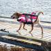 JOYPAWS Dog Life Jacket | Fashion Pet Swimming Vest | Adjustable Handle | M Medium Camouflage Pink Shark - Buy Online on GoSupps.com