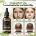MoStandard Rosemary Essential Oil for Hair Loss, Growth, and Repair - 60ml | Fuller, Healthier Hair for Men and Women - Buy Online on GoSupps.com