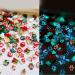 FEIlei 1Bag Resin Nail Art Christmas Decorations with Luminescent Effect Perfect for DIY Manicure - Buy Online on GoSupps.com