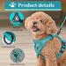 FINEASY Green Cat Harness & Lead Set with Reflective Strip - Adjustable & Escape Proof Kitten Vest Harness for Walking - Ideal for Pet Kitten, Dog, Rabbit - Size M - Buy Online on GoSupps.com