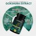 AMBROSIAL Gokshura Tribulus Terrestris High Strength 500 mg per Capsule | Tribulus Terrestris Extract Capsules for Men & Women | Herbal Supplement for Energy & Immunity (Pack of 1-60 Capsules) 60 Count (Pack of 1) - Buy Online on GoSupps.com