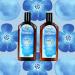 AGADIR Daily Volumizing Shampoo - 12.4 Fl Oz - Gentle Cleansing for Fuller Hair - Buy Online on GoSupps.com