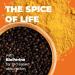 Turmeric Curcumin 1200mg with BioPerine Black Pepper Extract - Joint & Immune Support Supplement | High Absorption Vegan Antioxidant | 95% Curcuminoids - Buy Online on GoSupps.com