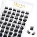 Eyelashes Individual Quewel Individual eyelash clusters lashes d curl mix8-16 eyelash segments wide foundation individual eyelashes for eyes make-up diy eyelash extension (lovely 02-d mix) 1 piece (1 Pack) lovely 02-d-mix 8-16mm