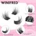 Cat Eye Lash Clusters - Wispy Individual Lashes for Fluffy Natural Look | Manga Lash Extensions by Winifred (14mm - Buy Online on GoSupps.com
