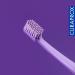 Curaprox 3 x Toothbrush CS 1560 Soft - Manual Toothbrush for Adults with 1560 Soft CUREN Bristles - 3 Pack in Random Colors | International Shipping - Buy Online on GoSupps.com