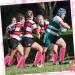 Breast Cancer Awareness Leg Sleeves - 4 Pairs Compression Sports Sleeves for Men Women & Boys (Pink) - International Shipping Available - Buy Online on GoSupps.com