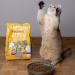 Scrumbles All Natural Dry Cat Food with 75% Chicken High Protein Food For Adults And Seniors 2.5Kg package may vary 2.5 kg (Pack of 1) - Buy Online on GoSupps.com