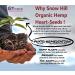 Snow Hill Himalayan Organic Raw Hemp Seeds 8 Oz - High Altitude Grown in Nepal | 10g Protein, 12g Omegas | Vegan, Gluten-Free, Non-GMO, Paleo & Keto Friendly - Buy Online on GoSupps.com