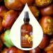 Plant Therapy Organic Jojoba Body Oil 4 fl. oz (118 mL) 100% Pure Cold-Pressed Natural GMO-Free Jojoba Oil for Skin Hair Nails & Essential Oils Jojoba 4 Fl Oz (Pack of 1) - Buy Online on GoSupps.com