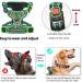 Heele Dog Crockery & Floral Green Adjustable Running Harness | Lockable Snap Anti-Train Reflective | Sizes L (43-86cm) - Buy Online on GoSupps.com