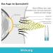 Ocuvers Hyaluron Eye Spray - 15ml Liposome Eye Spray for Dry Eyes | Best Alternative to Eye Drops - Shop Internationally - Buy Online on GoSupps.com