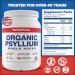Yerba Prima Organic Whole Psyllium Husks Fiber 20 oz (Pack of 2) - Colon Cleanser & Detox Support - Gluten Free, Non-GMO, Vegan - Natural Daily Fiber Supplement - Buy Online on GoSupps.com