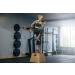 Wahoo TICKR X Heart Rate Monitor Chest Strap with Memory, Bluetooth, and ANT+ Connectivity - Buy Online on GoSupps.com