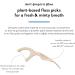 The Humble Co. Plant Based Floss Picks | Fresh Mint | Eco-Friendly Vegan Oral Care - Dentist Approved - Removes Plaque, 4 x 50p - Buy Online on GoSupps.com