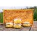 Mellona 100% Raw & Natural Creamy Golden Honey Unheated & Unfiltered 250g - Buy Online on GoSupps.com