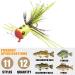 Topwater Fly Fishing Poppers Kit for Bass Trout Panfish - 12/15pcs Lures Set - Buy Online on GoSupps.com
