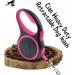 Cian Retractable Dog Leash 16 ft Strong & Durable Walking Leash Reinforced Nylon Ribbon One Touch Upgraded Locking System One Button Break Tangle-Free Anti-Slip Rubberized Handle (Grey) - Buy Online on GoSupps.com