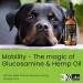 Buy Busters Hip and Joint Hemp Oil Formula for Dogs | Glucosamine Enriched Pain Relief & Mobility Support for Pets - Buy Online on GoSupps.com