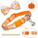 Fall Bow Tie Pumpkin Cat Collar Set with Bell | Autumn Thanksgiving Harvest Holiday Collar for Cats | Pumpkin Patch Design for Boys and Girls - Buy Online on GoSupps.com