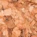 Trixie 76150 Coconut Chips - Tropical Terrarium Substrate 4.5L | Eco-Friendly & Sustainable Bedding for Reptiles & Amphibians - Shop Internationally - Buy Online on GoSupps.com