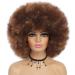 GKtineke 10 Inch Afro Curly Wig with Bangs for Black Women- Short Kinky Synthetic Hair Wig (Mixed Brown) - Buy Online on GoSupps.com