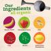 Pumpkin Tree Organics Super Oats & Seeds  Banana & Strawberry 40 Ounce (Pack of 10) - Buy Online on GoSupps.com