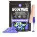 Wax Beads (Fit Gel) Hard Wax Beads for Hair Removal  Waxing Beads  Bikini Wax  Body Wax  Brazilian Wax  Waxing Beads  Cera Para Depilar Todo el Cuerpo (1 Pound) 1 Pound (Pack of 1) Blueberry
