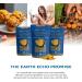 Earth Echo Golden Bliss - Organic Golden Milk with Turmeric and Ginger - Nighttime Superfood Mix for Relaxation & Sleep - Milk Powder for Baking & Latte - Vegan Dairy-Free Keto-Friendly 30 Servings 4.5 Ounce (Pack of 1) - Buy Online on GoSupps.com