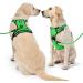 Buy Nestroad Green Dog Harness for Small Dogs - Anti-Train Cuddly Chest Harness (Size S) - Neck 28-38cm Chest 38-53cm - Reflex Strip Design - Buy Online on GoSupps.com